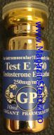 Test E 250 (Testosteron Enanthate 250mg/ml)